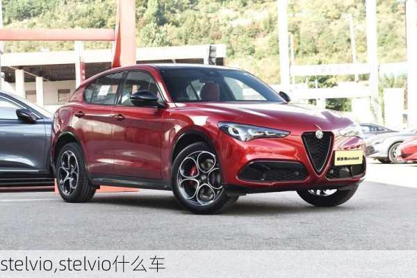 stelvio,stelvio什么车