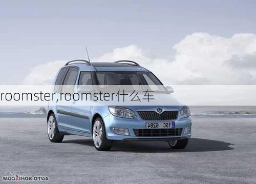 roomster,roomster什么车