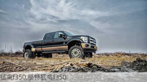 猛禽f350,福特猛禽f350