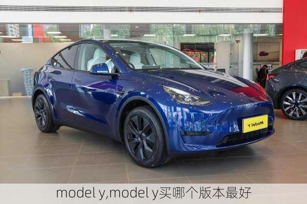 model y,model y买哪个版本最好