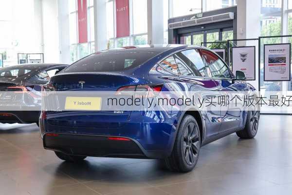 model y,model y买哪个版本最好