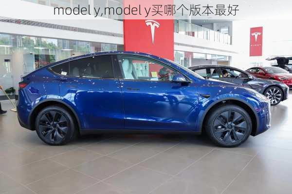 model y,model y买哪个版本最好