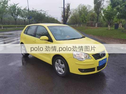 polo 劲情,polo劲情图片