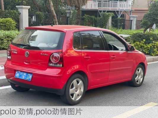 polo 劲情,polo劲情图片