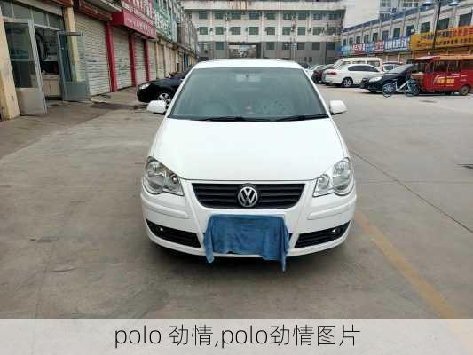 polo 劲情,polo劲情图片