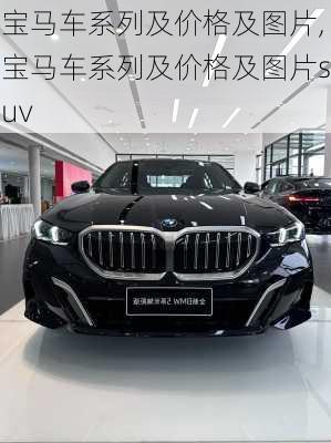 宝马车系列及价格及图片,宝马车系列及价格及图片suv