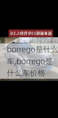 borrego是什么车,borrego是什么车价格